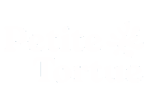 logo petite tortue