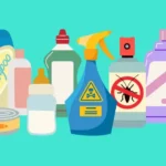 Perturbateurs endocriniens : les effets sur l&rsquo;organisme (infographie)