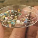 Microplastiques : les risques pour notre santé et celle des bébés