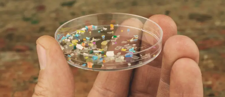 Microplastiques : les risques pour notre santé et celle des bébés
